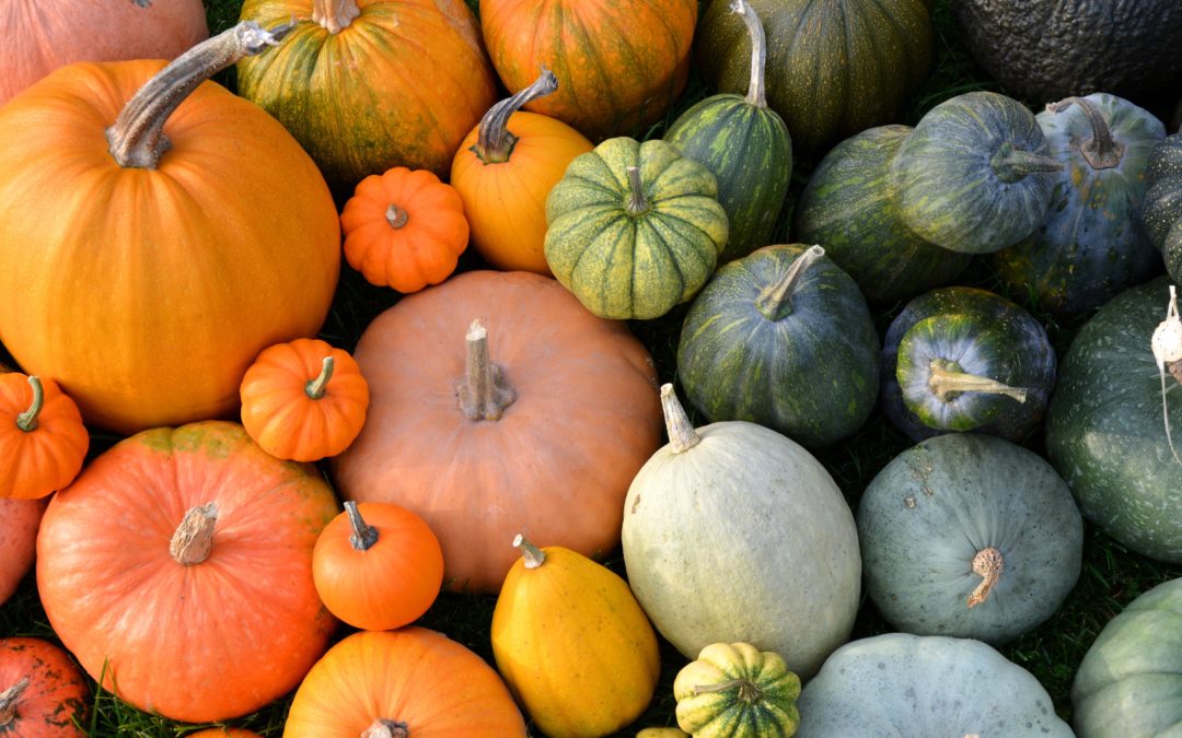 Halloween: Quoi faire avec votre citrouille ? 2/2